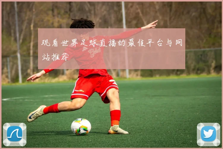 观看世界足球直播的最佳平台与网站推荐