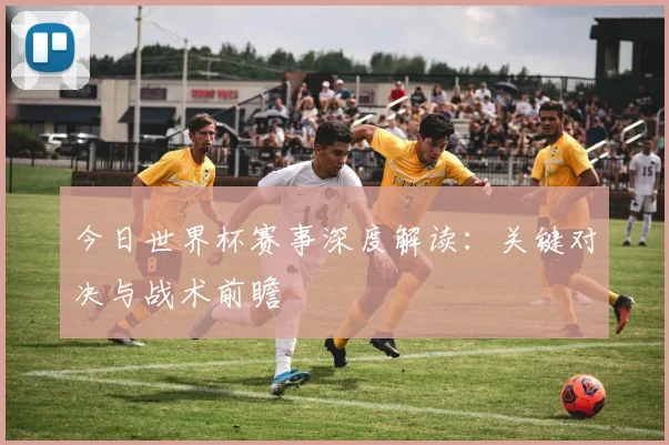 今日世界杯赛事深度解读：关键对决与战术前瞻